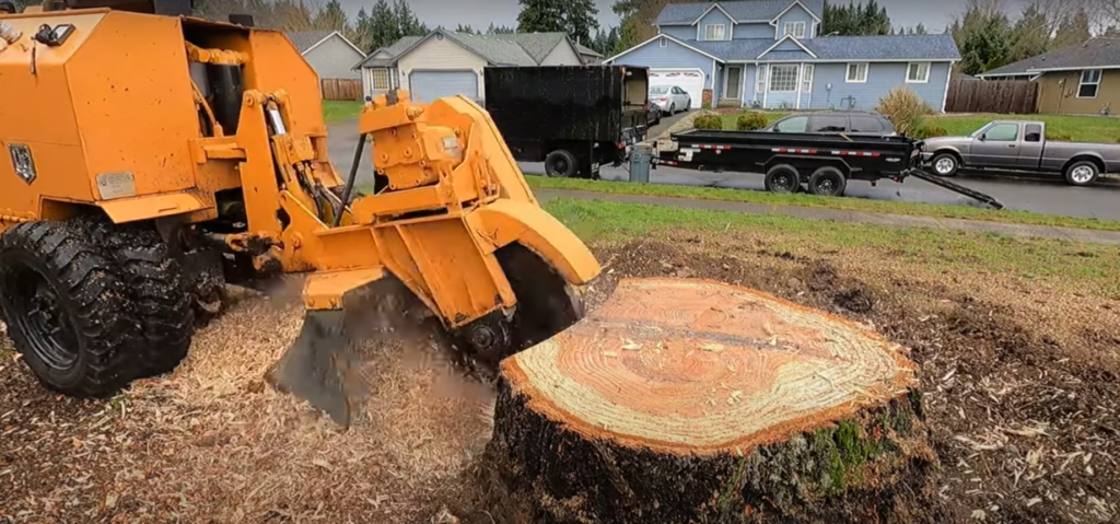 stump removal in baton rouge