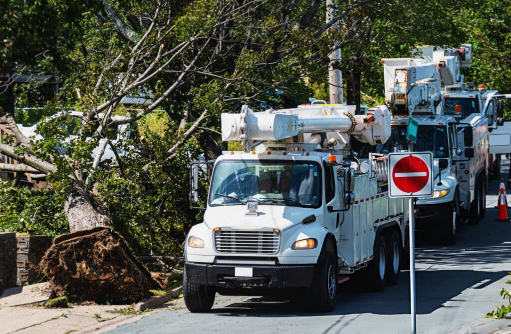 emergency tree services baton rouge