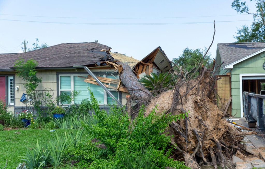 tree cutting emergency services in baton rouge