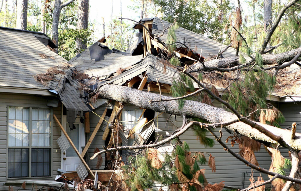 tree emergency services baton rouge